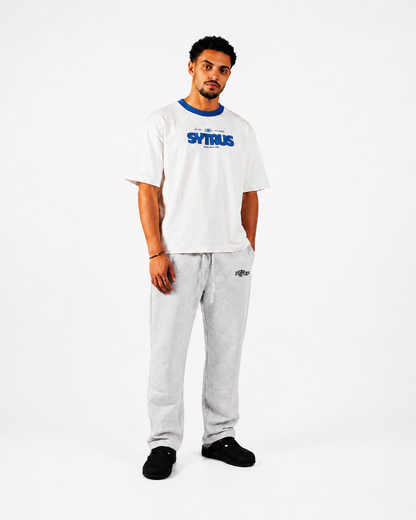 Gray Sytrus Wide Leg Sweatpants – Printed Edition